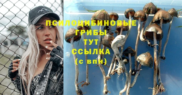 гидропоника Аркадак