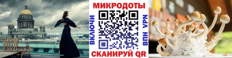 Галлюциногенные грибы ЛСД  Пугачёв 